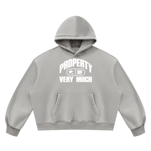 Alive Daily Hoodie