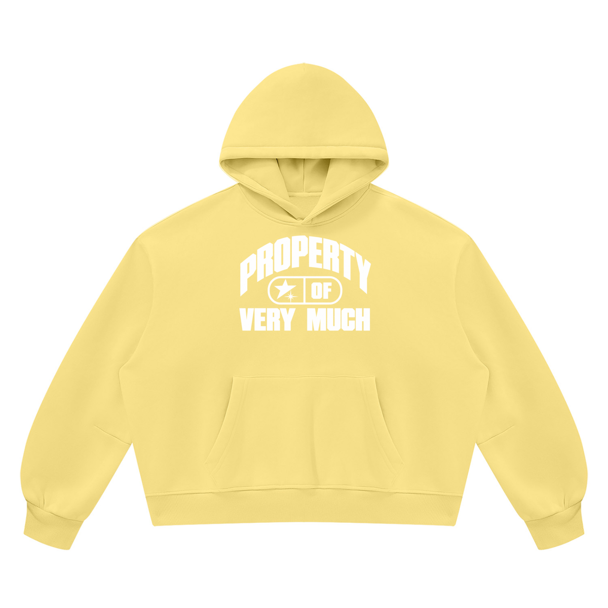 Alive Daily Hoodie